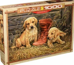Puzzle Puppies with Shoe