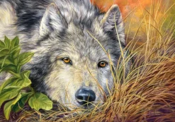 Puzzle Pure Soul