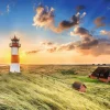 Puzzle Puzzle Premium Plus Photo Odyssey: List-Ost Lighthouse, Germany