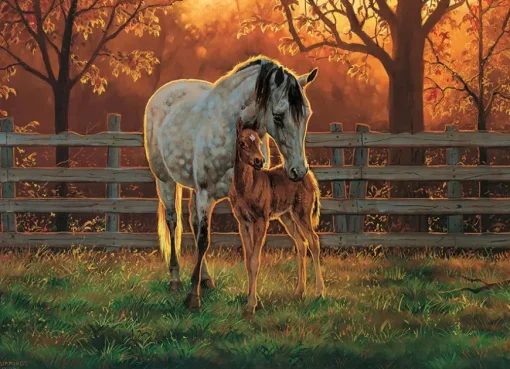 Puzzle Quiet Time
