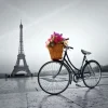 Puzzle Romantic Promenade in Paris