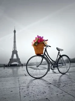Puzzle Romantic Promenade in Paris