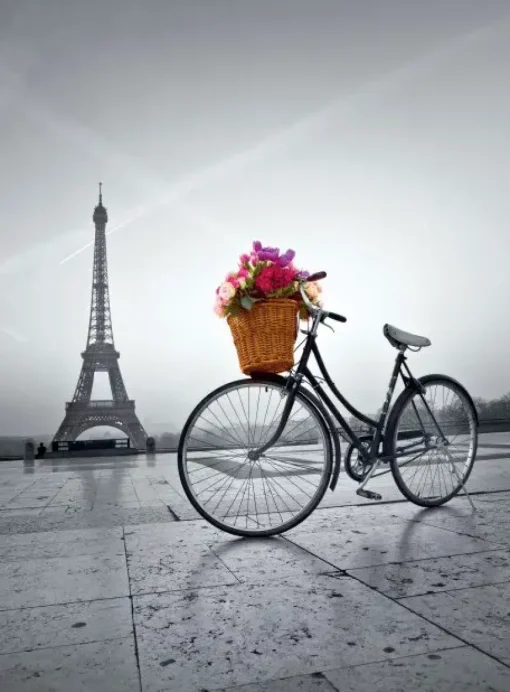 Puzzle Romantic Promenade in Paris