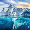Puzzle Save Our Planet: Arctic