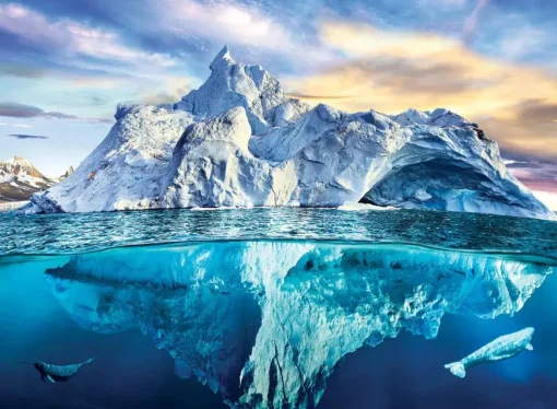 Puzzle Save Our Planet: Arctic