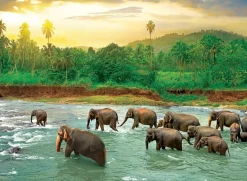 Puzzle Save Our Planet: Rain Forest