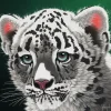 Puzzle Schim Schimmel - Young Leopard