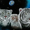 Puzzle Schimmel: Gentle Family II