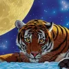 Puzzle Schimmel: Moon Tiger