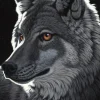 Puzzle Schimmel: Night Wolf