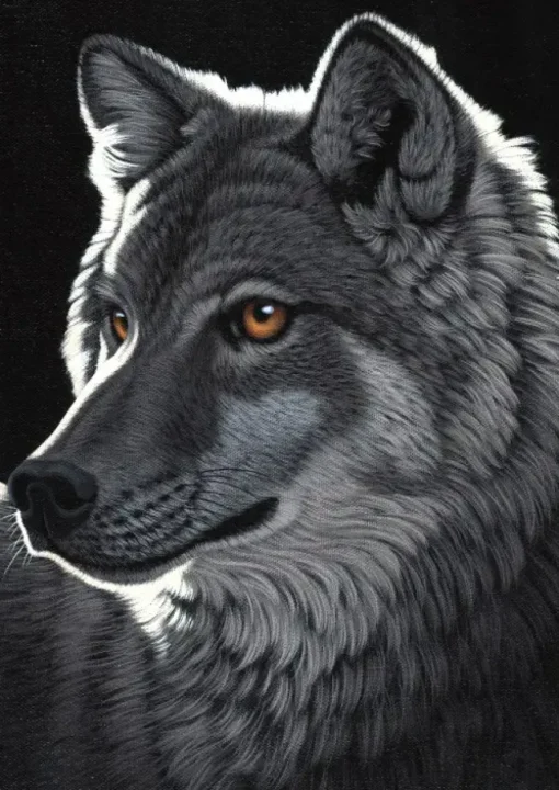 Puzzle Schimmel: Night Wolf