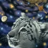 Puzzle Schimmel: One with the Universe