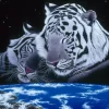 Puzzle Schimmel: Sleep Tight
