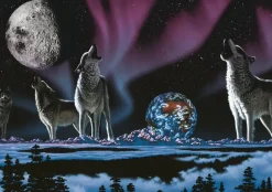 Puzzle Schimmel: Song of the Universe