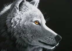 Puzzle Schimmel: Wolf Light