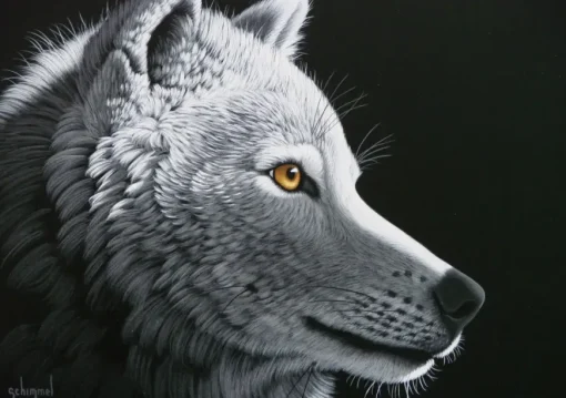 Puzzle Schimmel: Wolf Light