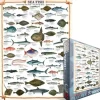 Puzzle Sea fish