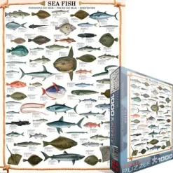 Puzzle Sea fish