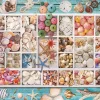 Puzzle Seashell Collection