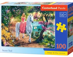 Puzzle Secret Trail