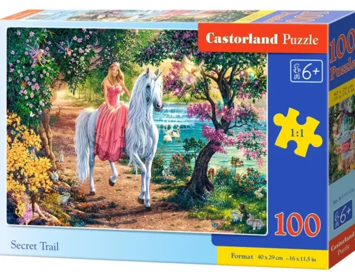Puzzle Secret Trail