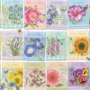 Puzzle Seed Packets