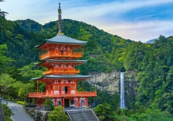 Puzzle Seiganto-ji, Japan