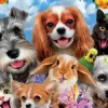Puzzle Selfie Pet Parade 200 dielikov