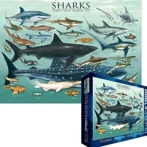Puzzle Sharks 2
