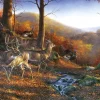 Puzzle Shawnee Hills