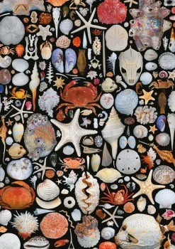 Puzzle Shells