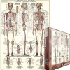 Puzzle Skeleton 1