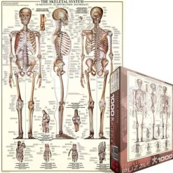 Puzzle Skeleton 1