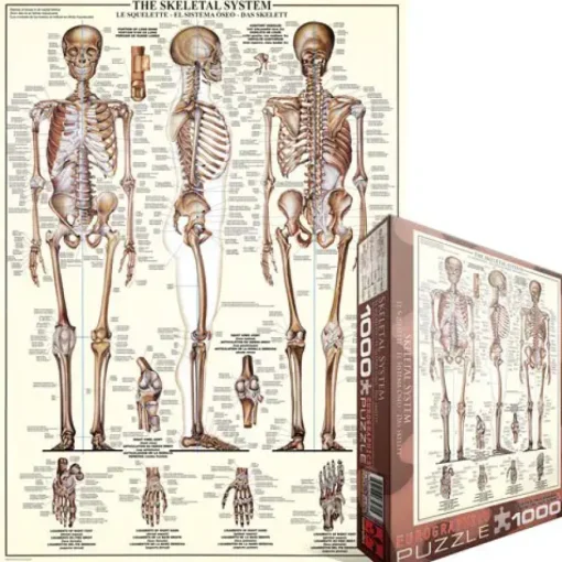 Puzzle Skeleton 1
