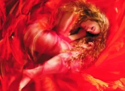 Puzzle Sleeping Beauty