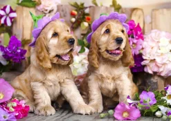 Puzzle Spaniel Puppies with Flower Hats