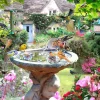 Puzzle Summer Birds