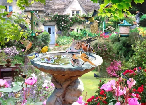 Puzzle Summer Birds