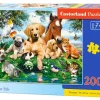 Puzzle Summer Pals