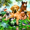 Puzzle Summer Pals 500 XXL