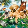 Puzzle Summer Pals II