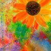 Puzzle Sunflower 1000 enjoy