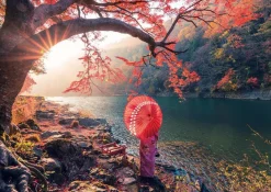 Puzzle Sunrise in Katsura river, Japan