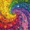 Puzzle Swirling colours in bloom
