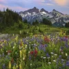 Puzzle Tatoosh Mountains 2000