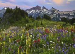 Puzzle Tatoosh Mountains 2000