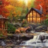 Puzzle The Colors of Life