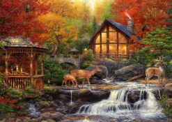 Puzzle The Colors of Life