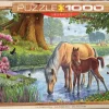 Puzzle The Fell Ponies