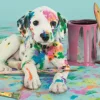 Puzzle The Funny Dalmatian